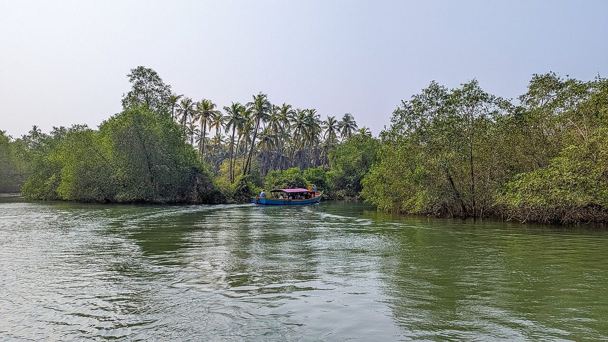 Estuary & backwaters