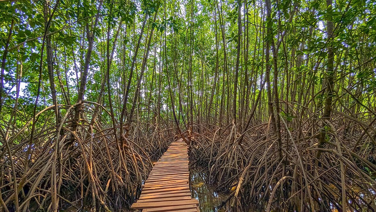 Biodiversity of Honavar