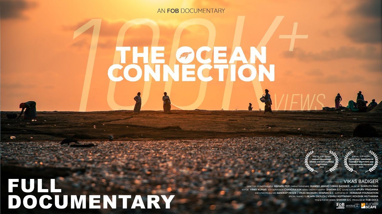The Ocean Connection
