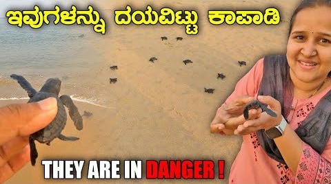 Kannada video log by Mr and Mrs Kamat