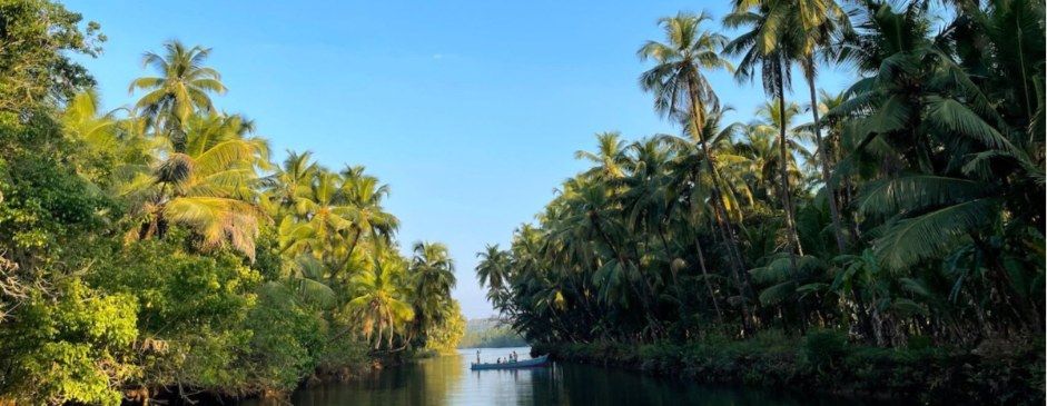Backwater Boating