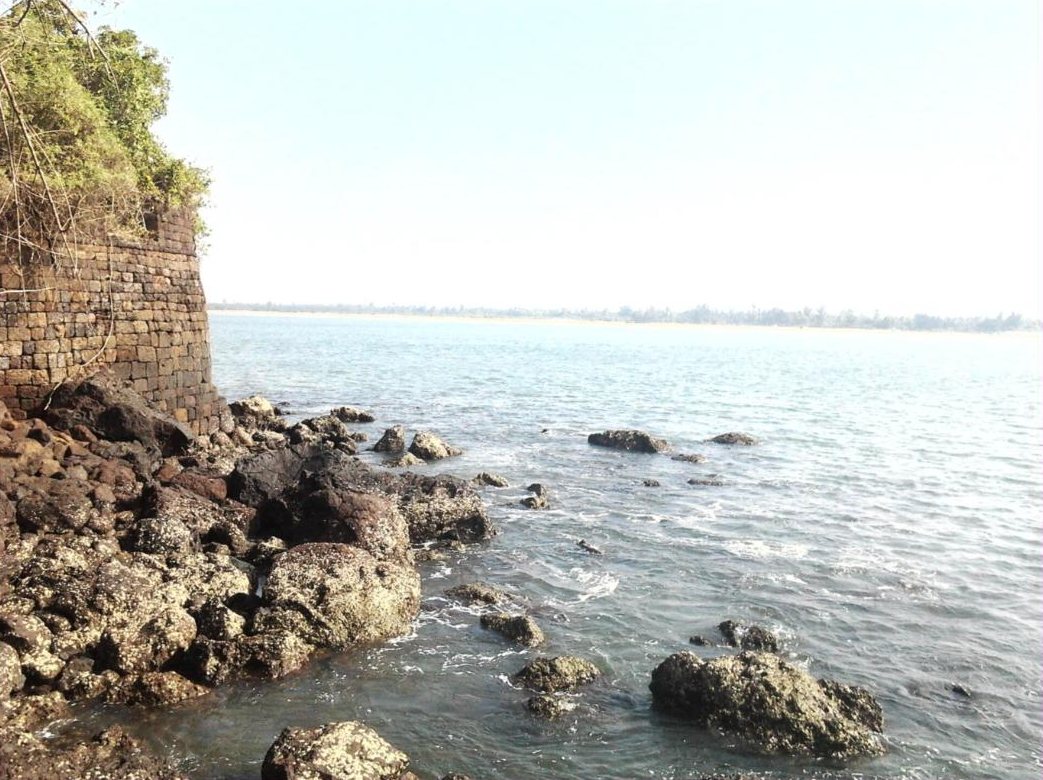 Rocky shores