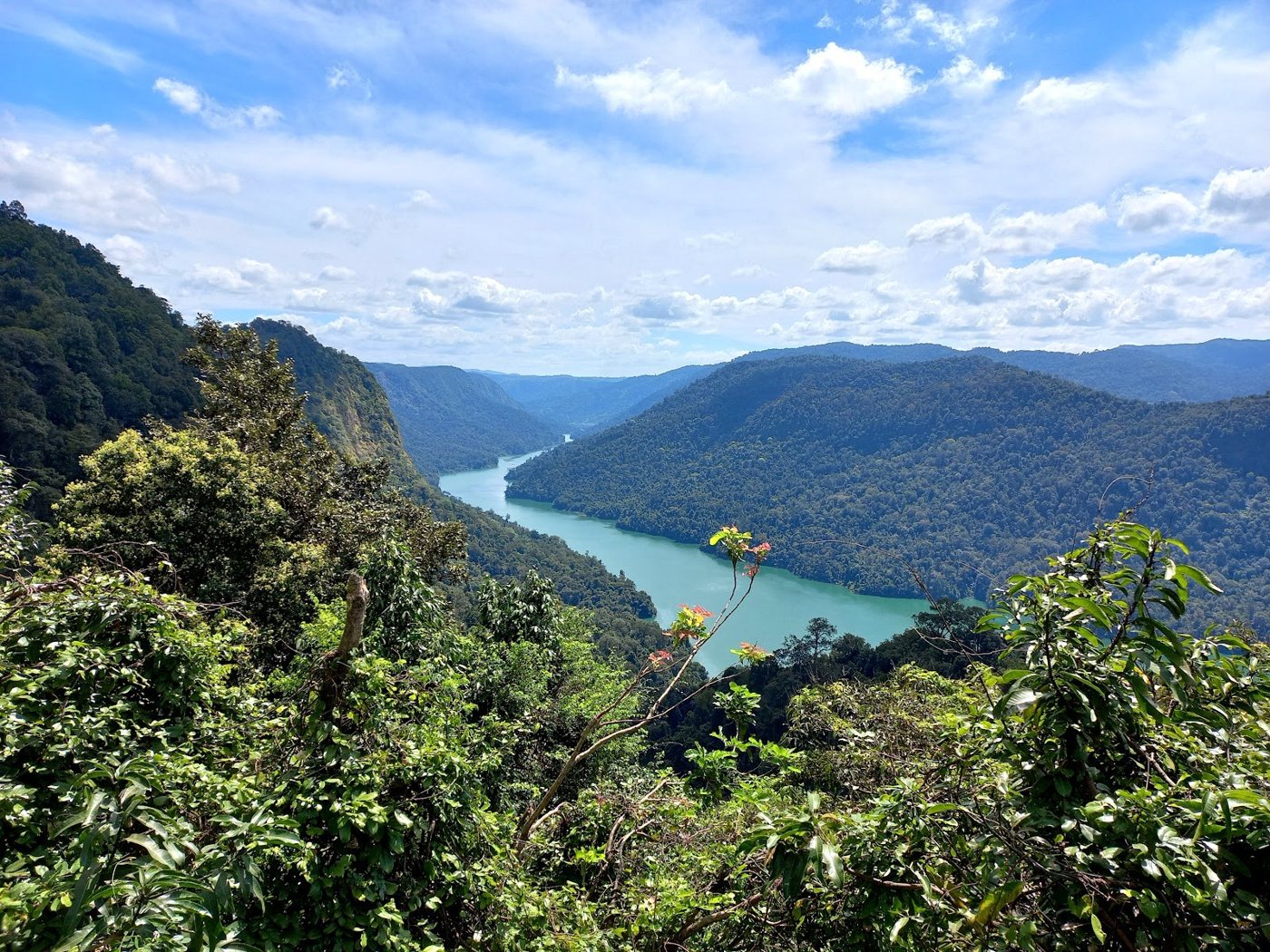 Sharavathi Valley Viewpoint