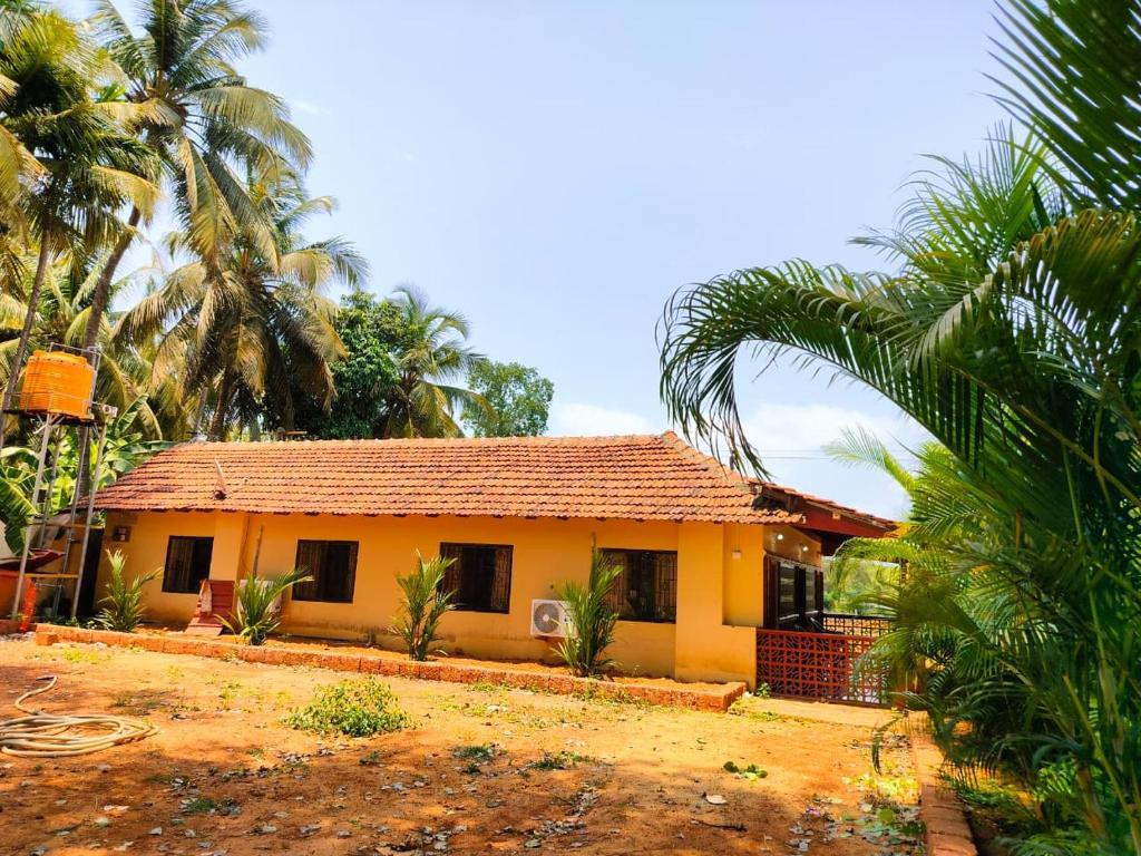 Mangrove Village Inn photo 1