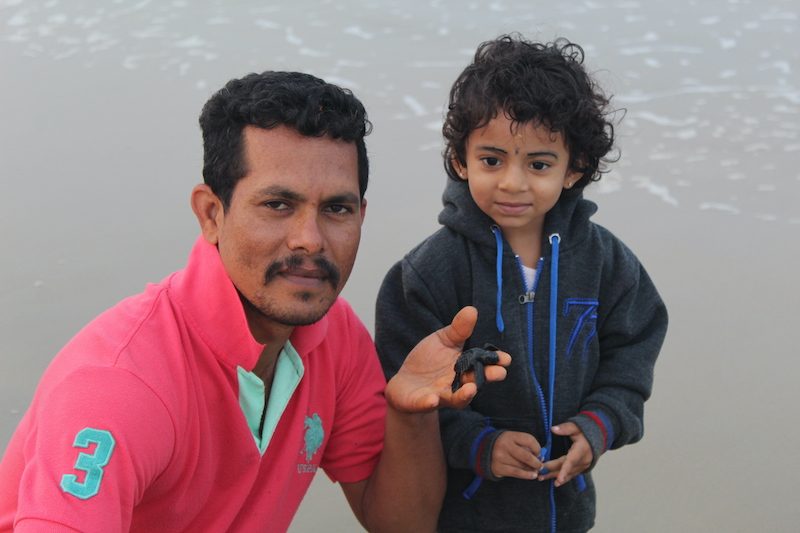 A fisherman and his child release hatchlings into the sea