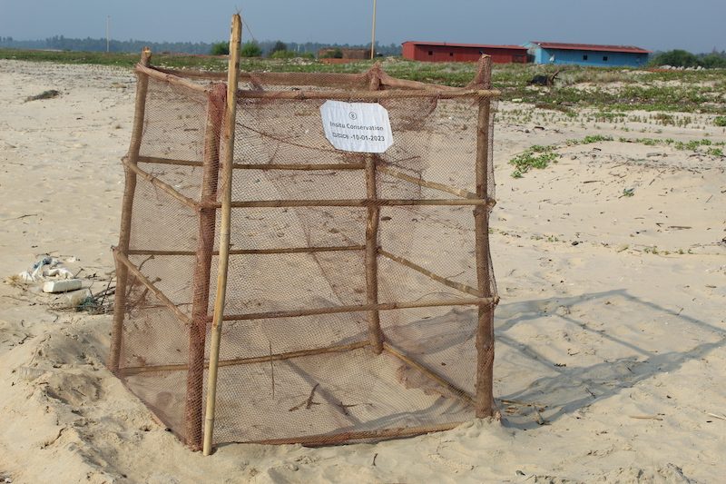 Nest protected on 10 January 2023