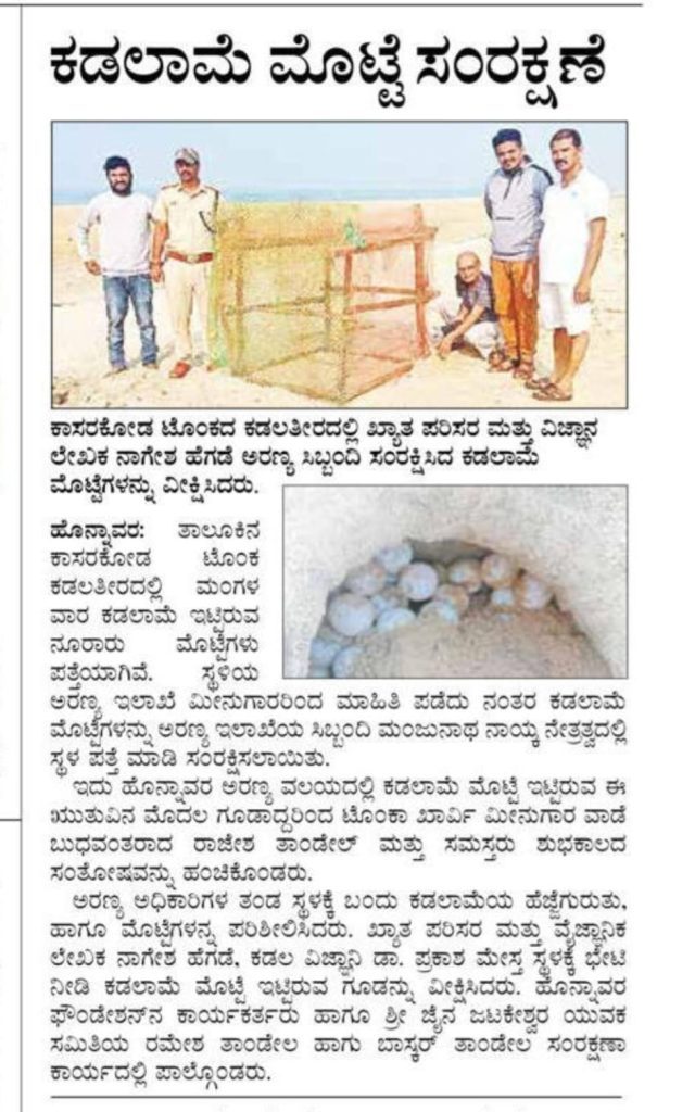 Press report of eggs protected in January 2025