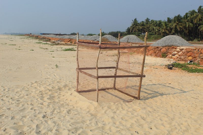 A protected nest beside the road